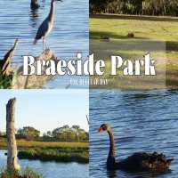 🇦🇺 Melbourne Southeast | Secret Wetland Paradise — A Bird Lover’s Heaven! 🦆🦜