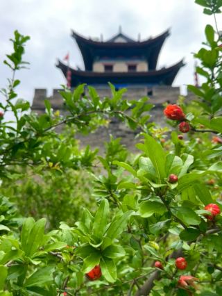 Old Capital, Fresh Life 🍃