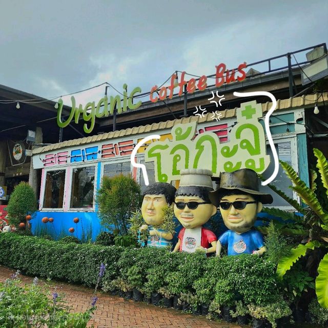 🥬 สวนผัก โอ้กะจู๋ [สันทราย] ● เชียงใหม่ ●