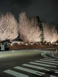 茨城冬日慢遊：歷史與藝術的悠閒邂逅