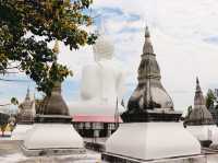 วัดป่าพรหมนิมิต