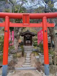 โอซาก้า🇯🇵