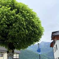 St. Gilgen: Mozart's Hometown Without the Pricey Tour! 🇦🇹
