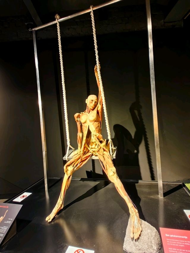 醫科生必去的人體奧妙展@Amsterdam 