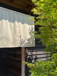 鎌倉のんびりひとり旅はいかがですか？🍃