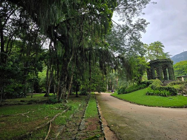 해외여행 브라질에서 가장 큰 식물원 Botanical Garden of Rio de Janeiro