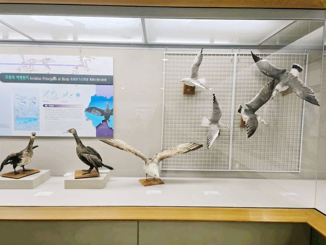 Fossil Park