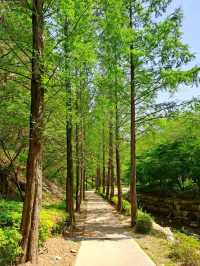 Yongso Well-being Park