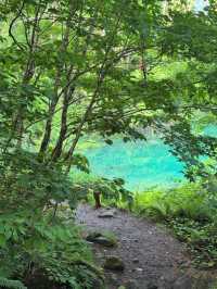 🏞【福島・裏磐梯】五色沼湖沼群｜色が変わる不思議な湖をめぐる“癒しのネイチャートリップ”