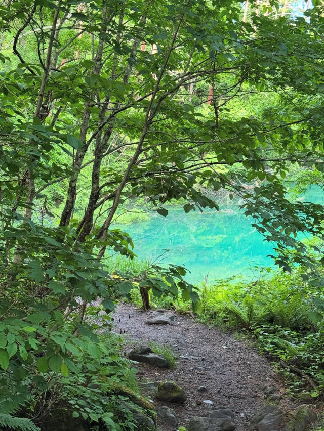 🏞【福島・裏磐梯】五色沼湖沼群｜色が変わる不思議な湖をめぐる“癒しのネイチャートリップ”