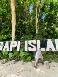Sapi iland