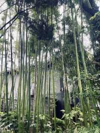 Yangzhou in a Day 