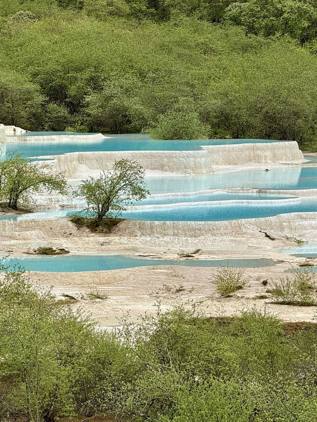 Huanglong National Scenic Reserve: A Surreal Alpine Wonderland of Turquoise Pools