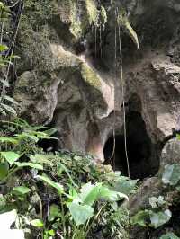 【Mulu Adventure：走进砂拉越的奇幻之境】 🌏⛰️🦇🌿