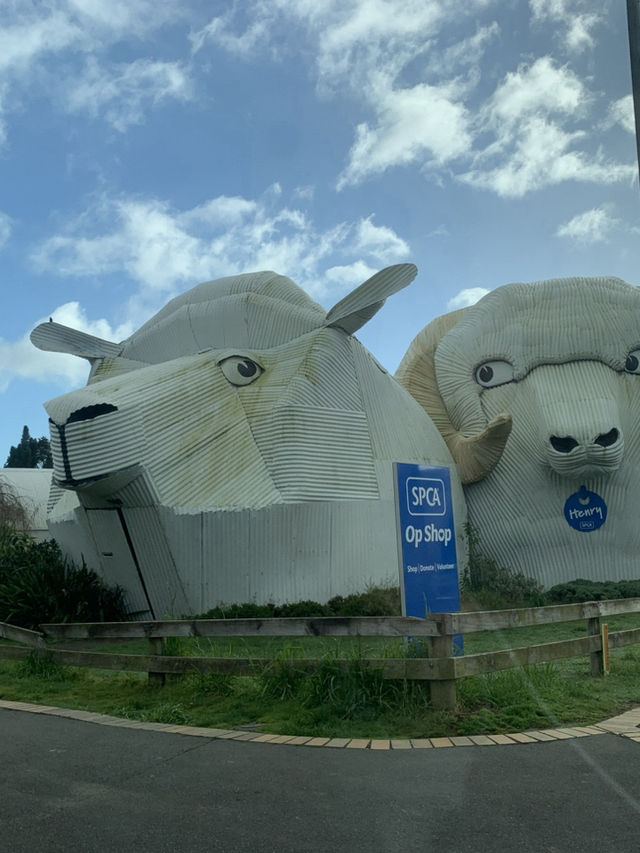 📍Taupō, New Zealand 一場天馬行空的公路冒險，就從這裡出發 🚗💨