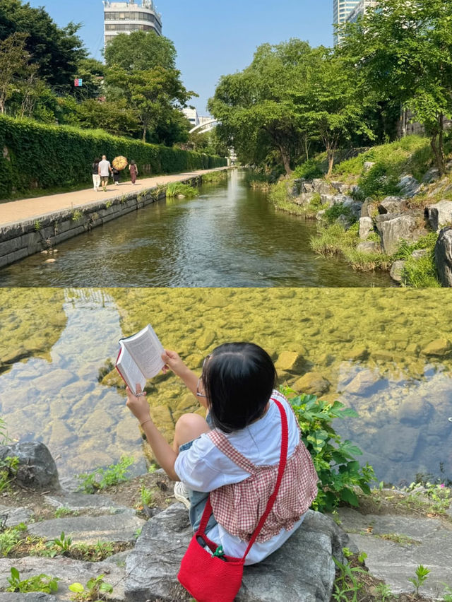 🏯【ソウル・景福宮】タイムスリップ気分で歩く、王朝の記憶