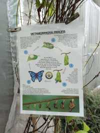 Happy Bee Farm & Insect World, A Buzzing Blend of Nature and Discovery