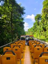🇸🇬⚓ Explore Singapore with Cruise – The Ultimate Getaway! 🚢🌆