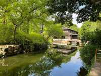 🌿 Humble Administrator’s Garden 拙政园 — A Classical Suzhou Gem