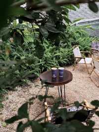 Valley Tea & Coffee