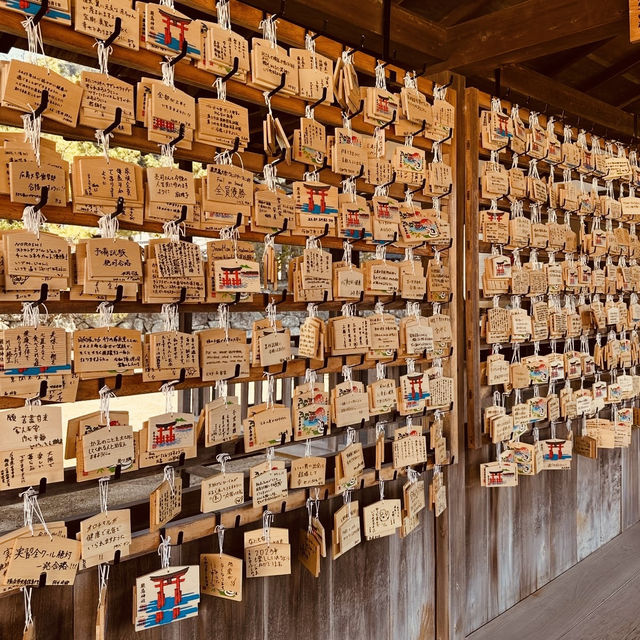 ⛩️ Great Torii Summer Survival Guide