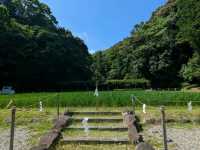 伊勢 | 猿田彥神社，參拜指點人生新方向的神明