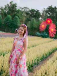  Maple Gardens กาญจนบุรี