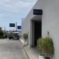 🌴 Palyn Cafe