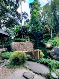 The world's first Japanese Tea House in a Tropical Forest