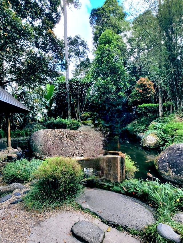 The world's first Japanese Tea House in a Tropical Forest
