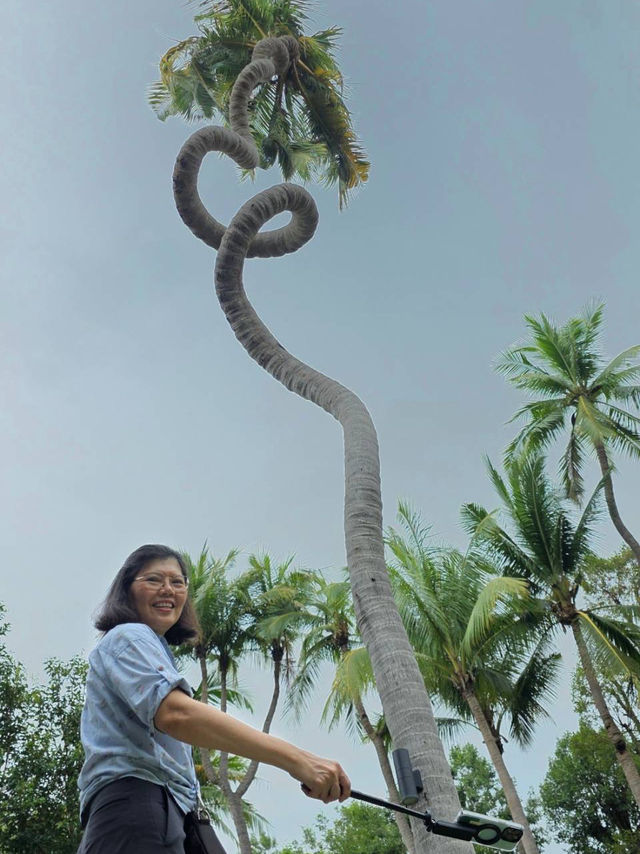 Spending a day with gigantic trees 