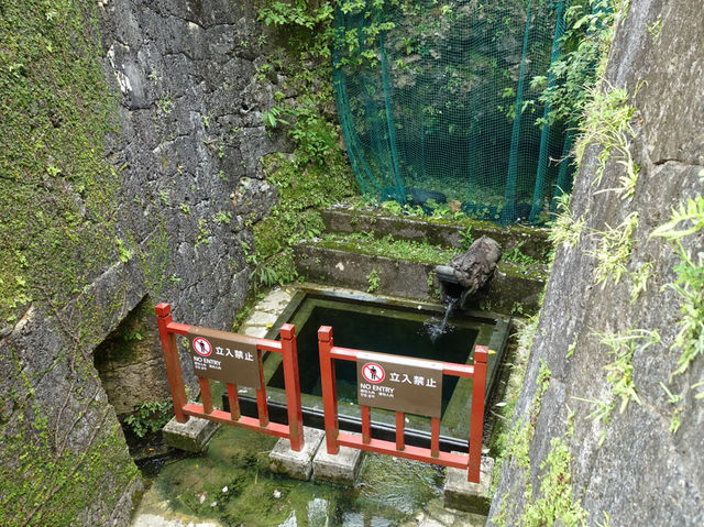 🏯 A Glimpse into Ryukyu Heritage – Shuri Castle, Okinawa