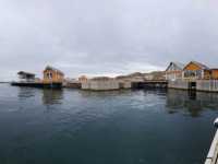 A breathtaking Arctic Escape