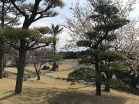 鹿兒島-仙巖園（超級推薦）