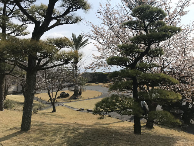 鹿兒島-仙巖園（超級推薦）