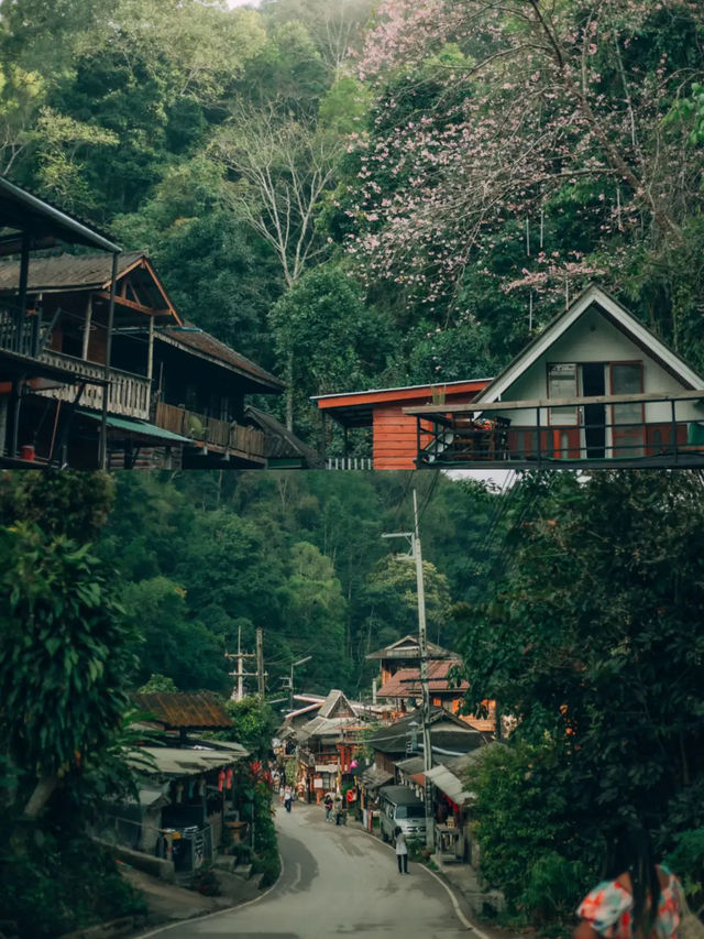 “ไว้เราไปแม่กำปองด้วยกันนะ” 🤍🌳