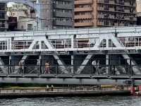 🚶‍♀️เดินชมริม Sumida River