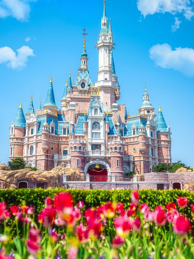 Everyone Loves Shanghai Disneyland