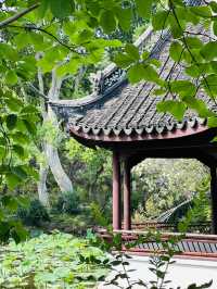 🌸 Discover Zuibaichi Park Shanghai | Ancient Poetry Garden & Tranquil Beauty