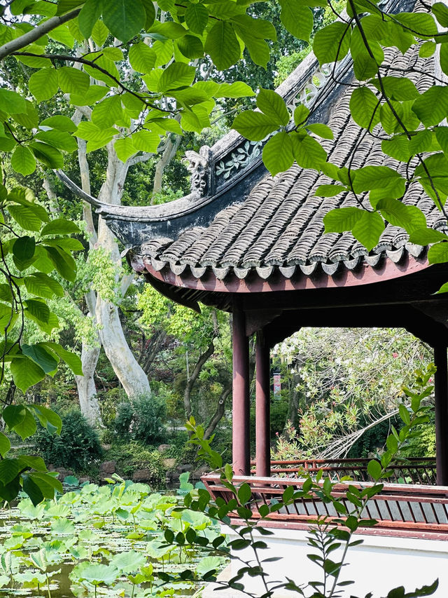 🌸 Discover Zuibaichi Park Shanghai | Ancient Poetry Garden & Tranquil Beauty