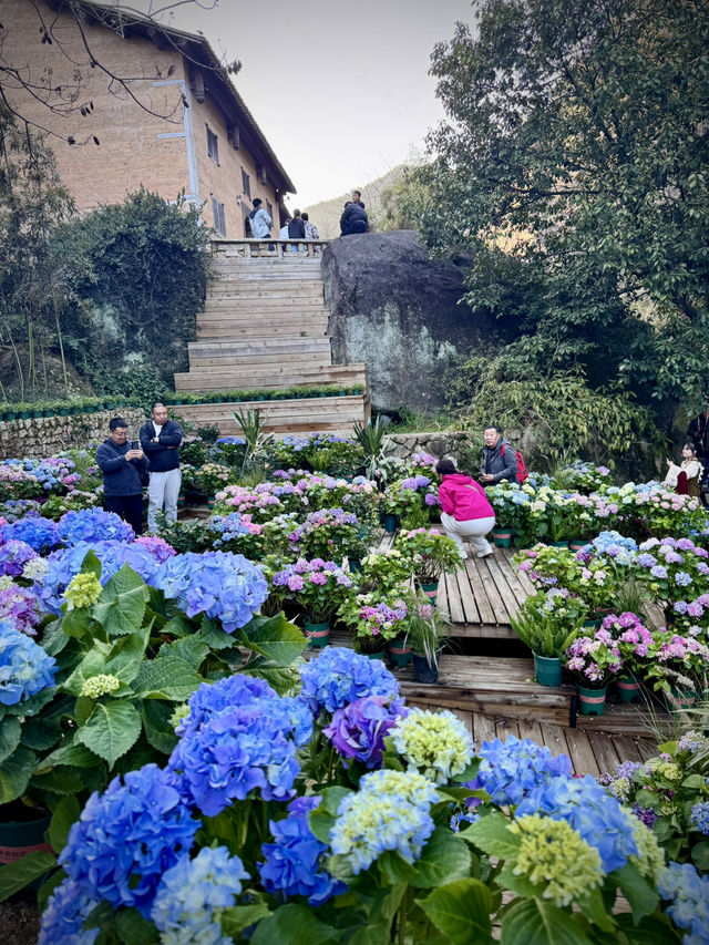 Wangxian Valley