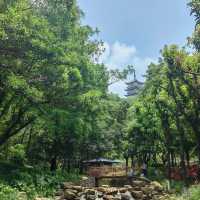 ～八境公園～城市綠洲～