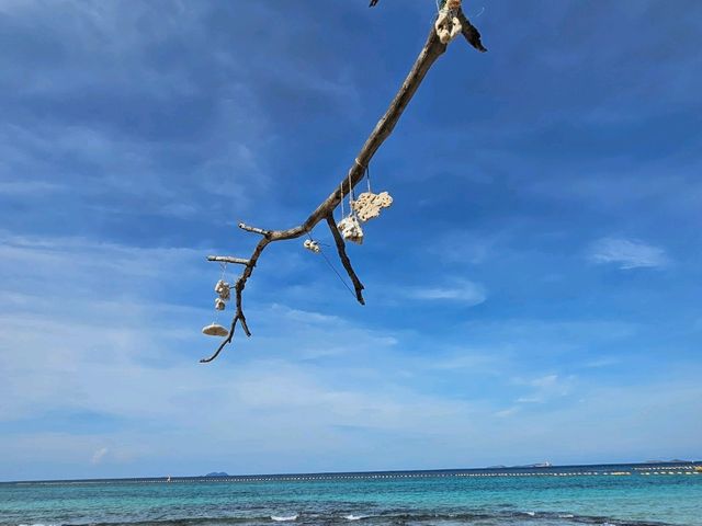 หาดแสม เกาะล้าน