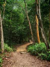 ⛰️ Bukit Kledang, Perak – Choose Your Trail, Choose Your Challenge!