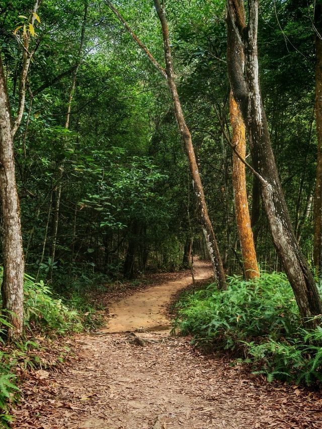 ⛰️ Bukit Kledang, Perak – Choose Your Trail, Choose Your Challenge!