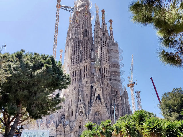 Barcelona: Gaudí and the Luminous Wonder of Sagrada Família! 🇪🇸✨
