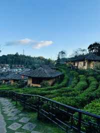 "Charming Stilt Houses & Tea Views – Lee Wine Ruk Thai Experience”