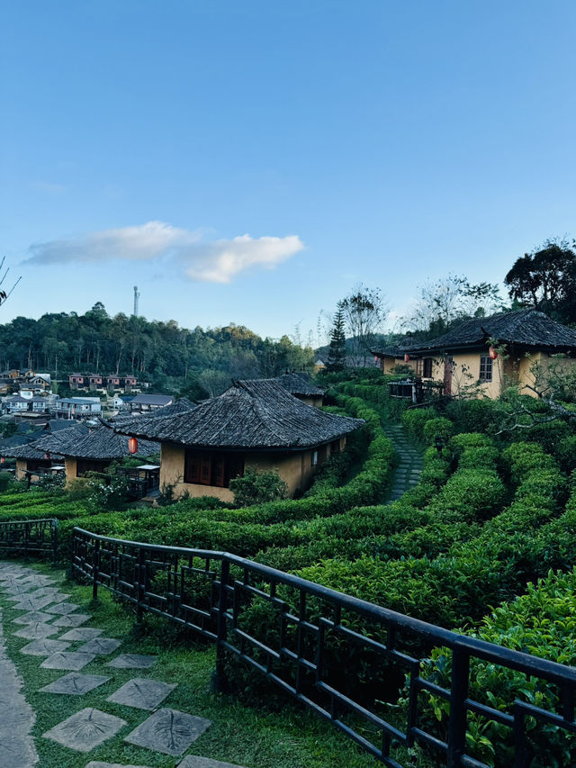 "Charming Stilt Houses & Tea Views – Lee Wine Ruk Thai Experience”
