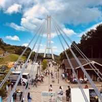 Mishima Skywalk Summer Adventure: Walking Above the Clouds