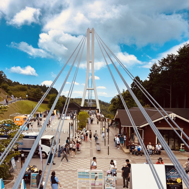 Mishima Skywalk Summer Adventure: Walking Above the Clouds
